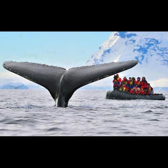 🌍five star seller - check my love notes - Picture 9 of 16